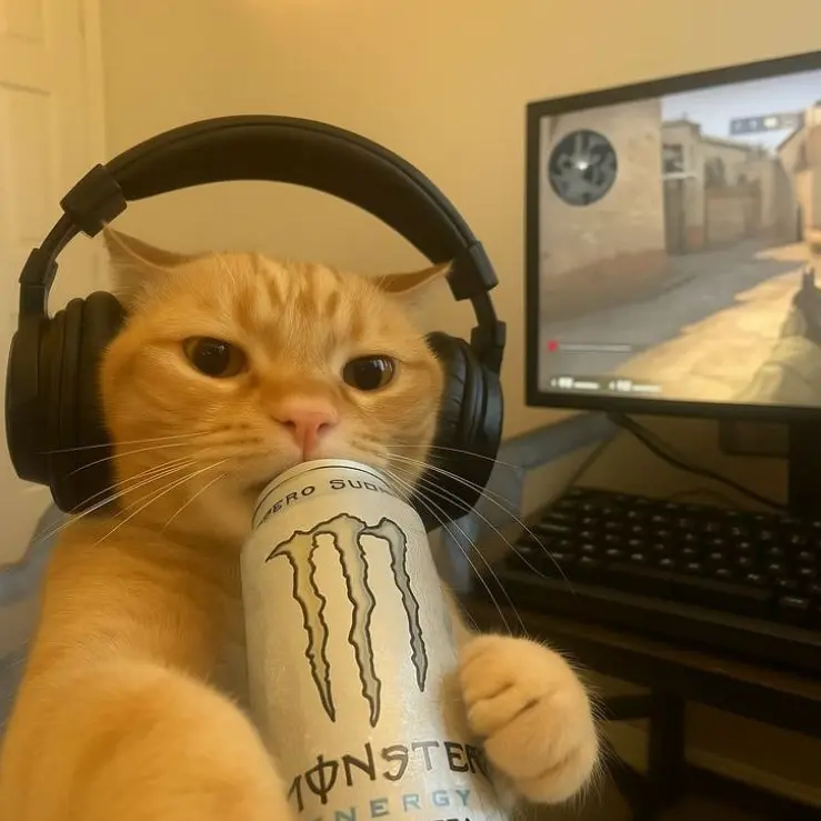 BiasedLava5096의 5명의 엄격한 언니들