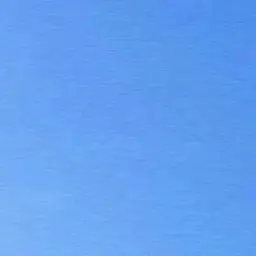 Profile image of 김여우