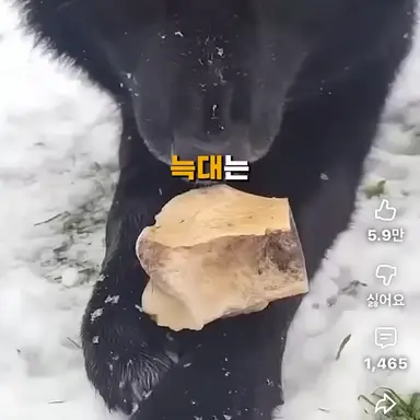 Profile image of 늑대