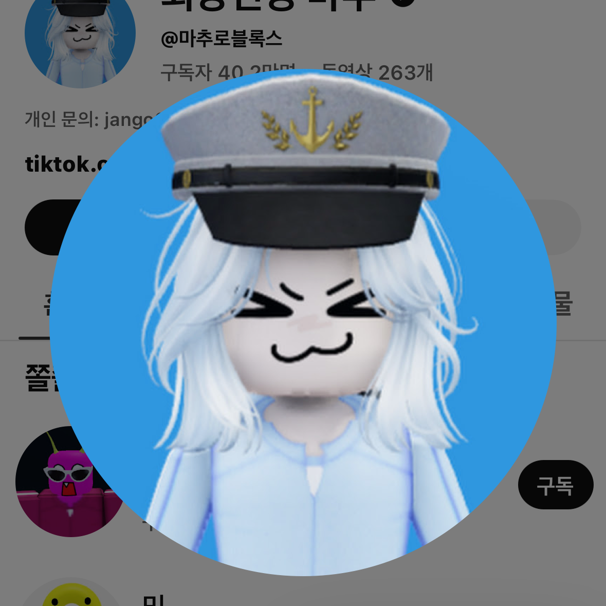 쫄쫄이패밀리+가바나+여우+늑대 대표 이미지