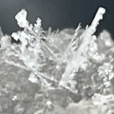 Profile image of 이구로 오바나이