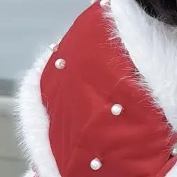 Profile image of iLifeメンバー