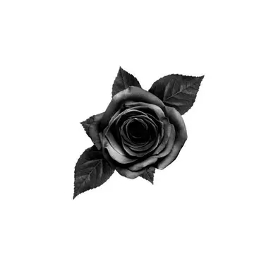 Profile image of 손태순