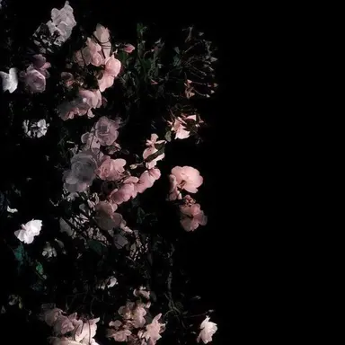 Profile image of 송지원