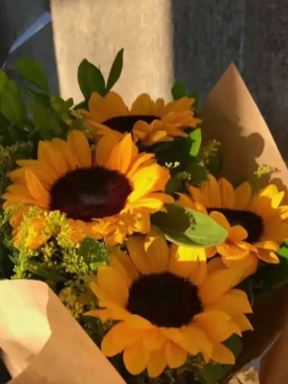 채리시 서커스장에! 초대할게요―! 대표 이미지