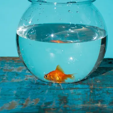 Profile image of 巧巳