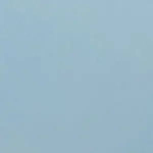 Profile image of らぴす