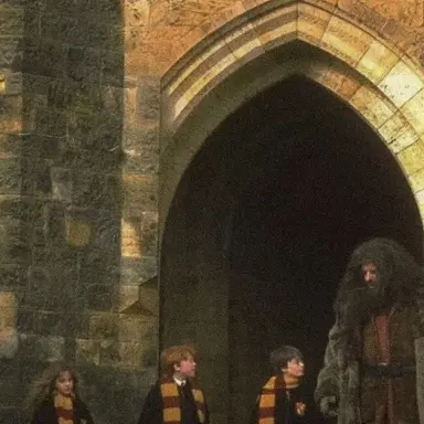 Profile image of Hagrid