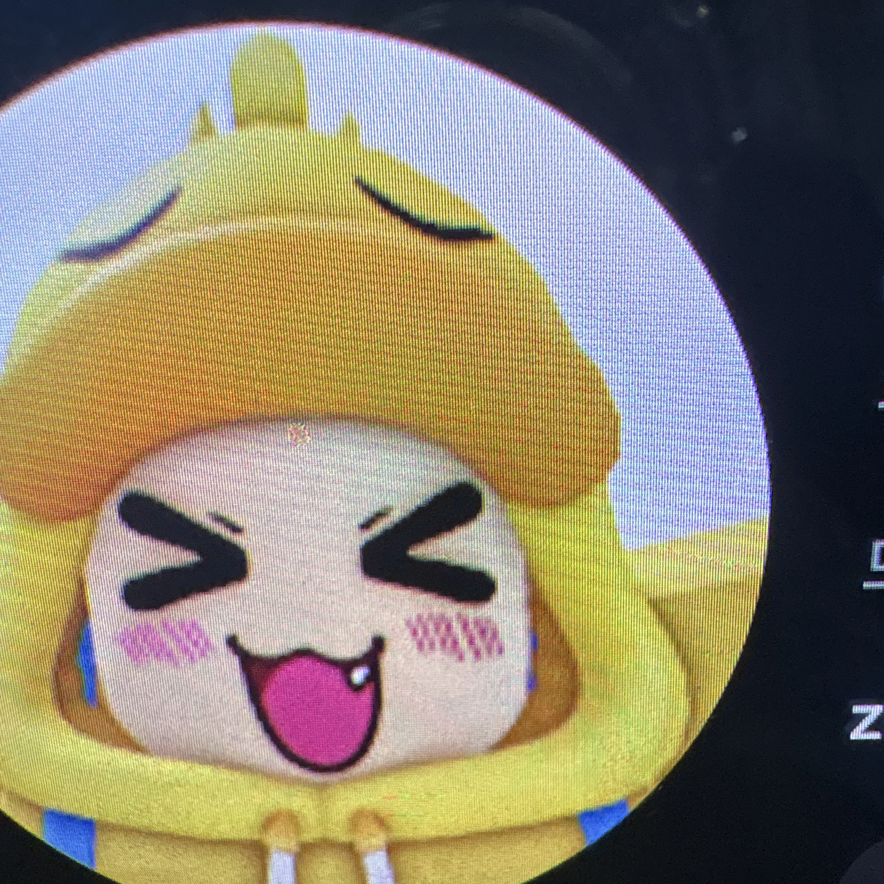 꽥탐험대