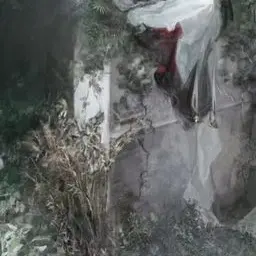 Profile image of Dante