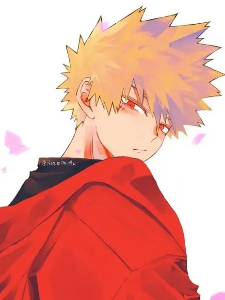 Novachanz의 Katsuki Bakugo