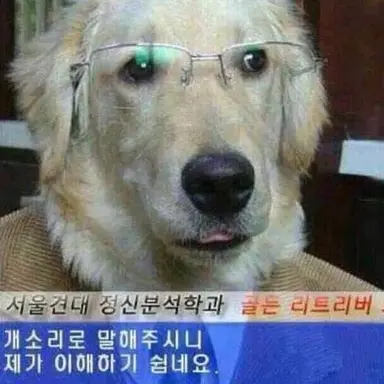 Profile image of 교수님