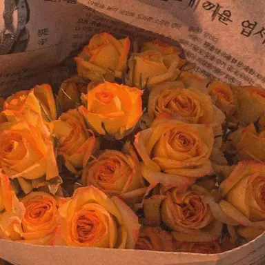 Profile image of 박덕개