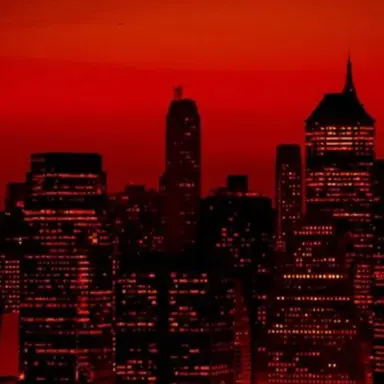 Profile image of 서라더