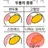 데미안