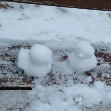 Profile image of 뜰팁 배탈