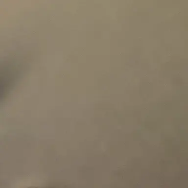 Profile image of メテュ