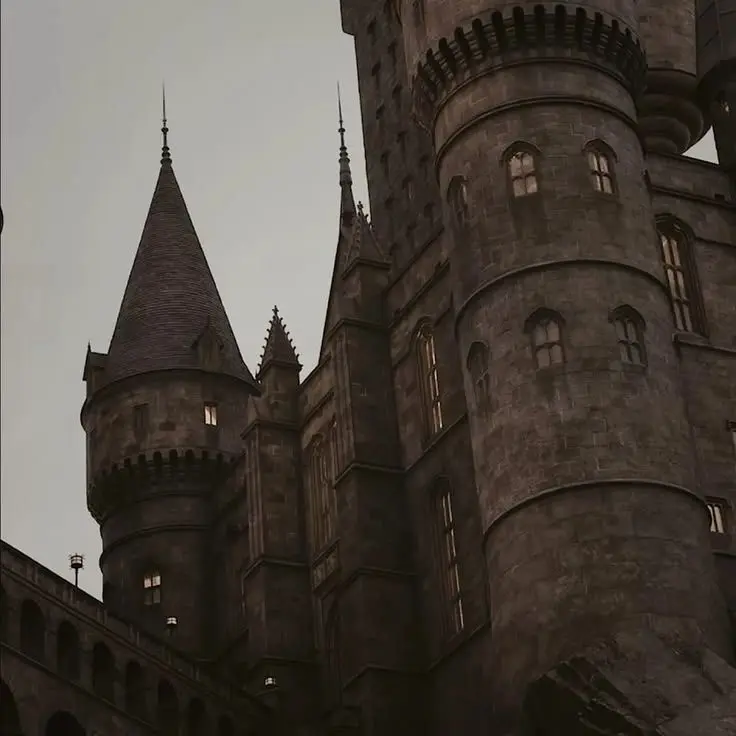 whims의 𝘏𝘰𝘨𝘸𝘢𝘳𝘵𝘴 - 𝘙𝘗𝘎 ⚯ ͛