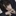 이지훈