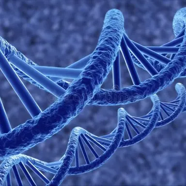 Profile image of 알리스
