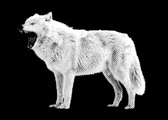 Profile image of Lucas Roben