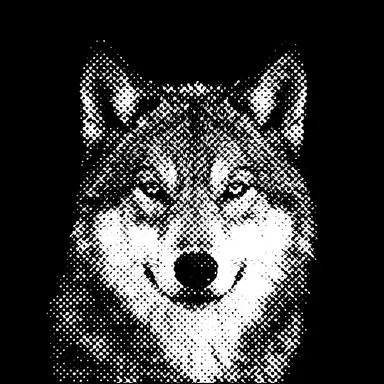 Profile image of Kirke Dawn