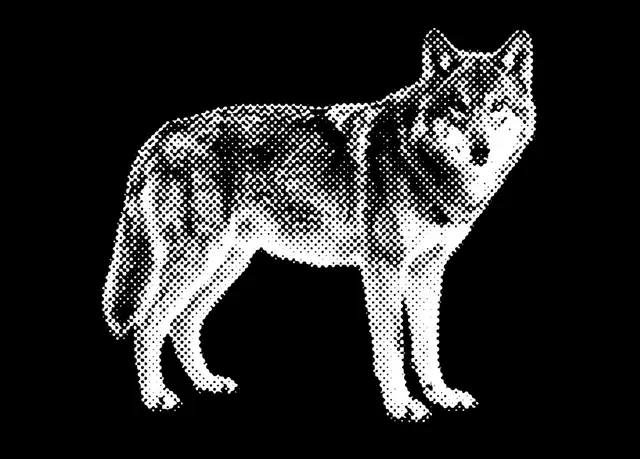 Profile image of Kirke Dawn
