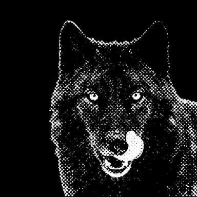 Profile image of Kai