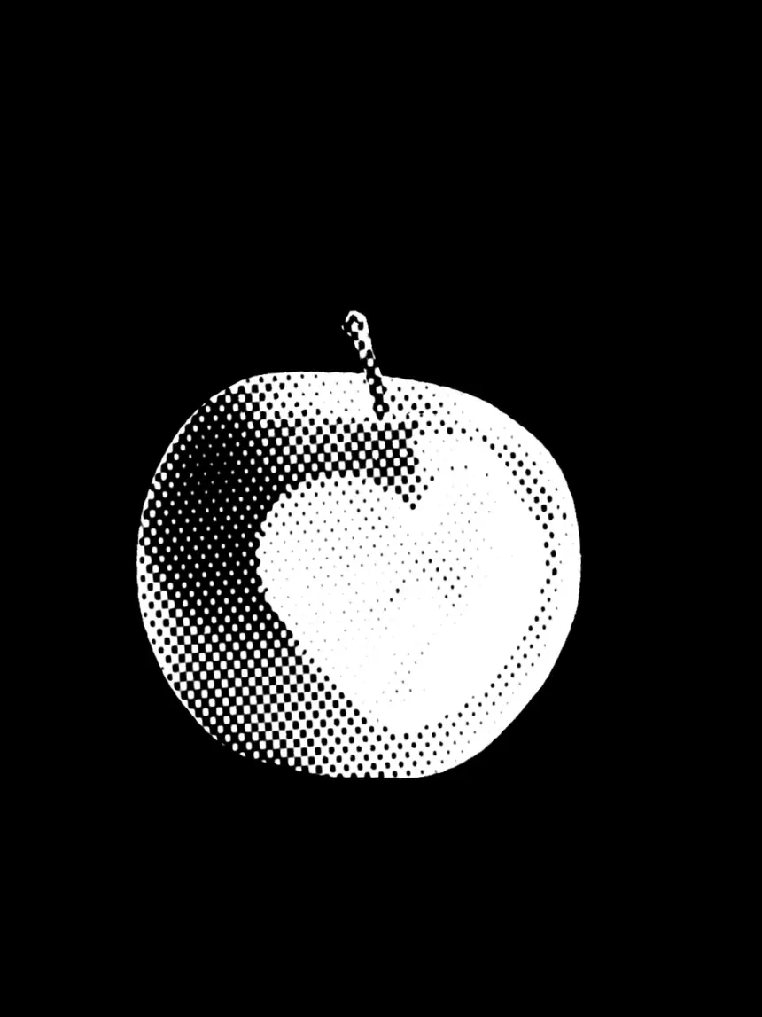 .XD의 ㅤ