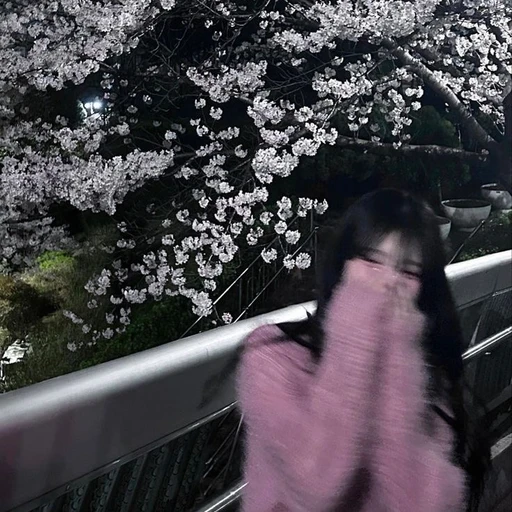 설아