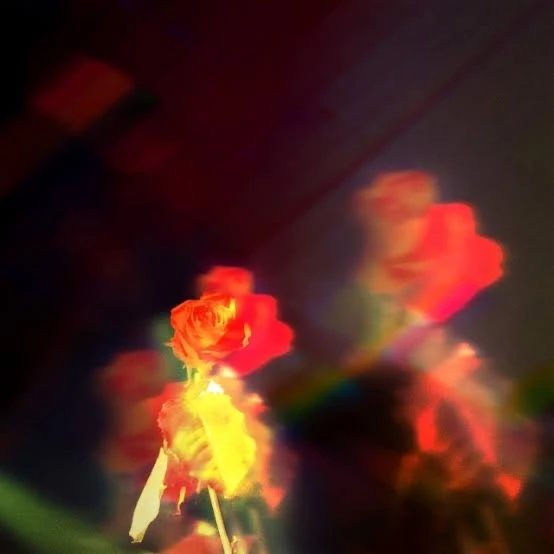 마플