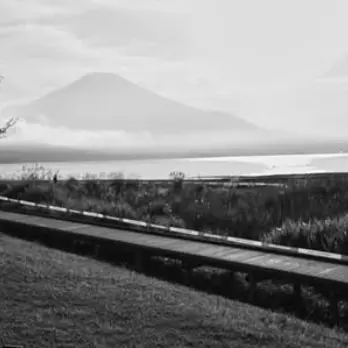 Profile image of 大森元貴