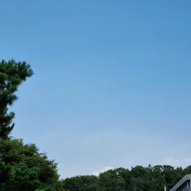 Profile image of user