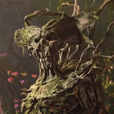 Profile image of Tree Warrior