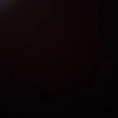 Profile image of 유기사