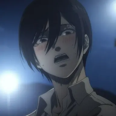 Profile image of ミカサ
