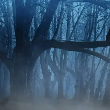 Profile image of ゾンビ