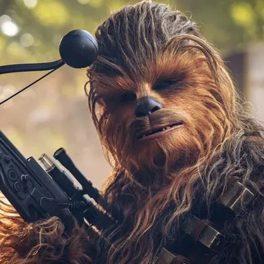 Profile image of Chewbacca