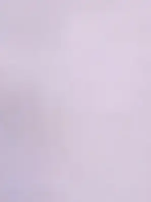 Magurodon의 殺し屋のフィンさん。元相棒に恋をする。