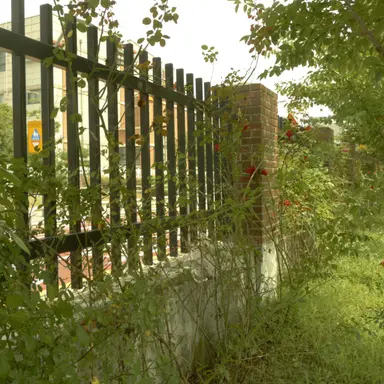 Profile image of 라더