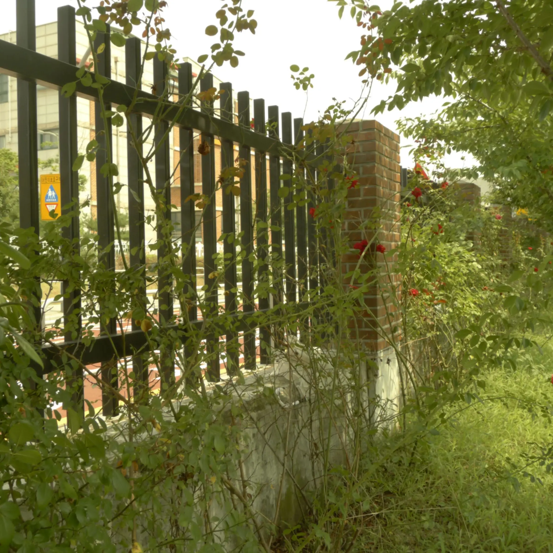 blueaplle1083의 라더