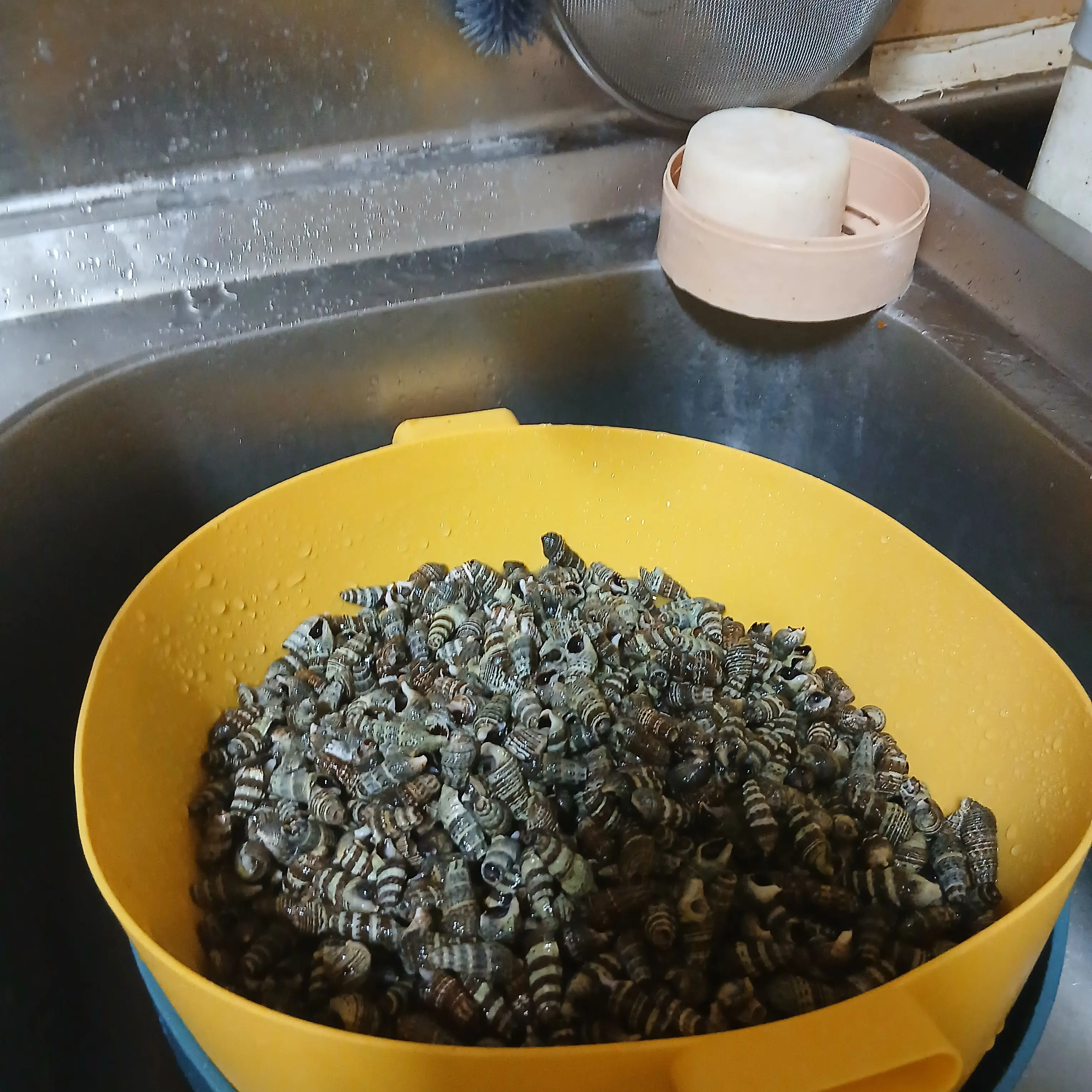 57994879의 여우가 유저를 때렸다