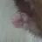 탁무진
