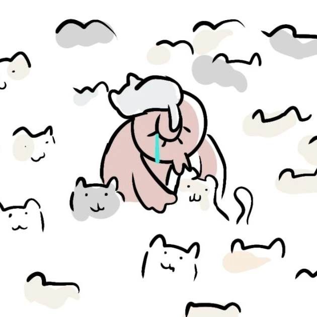아이슬림