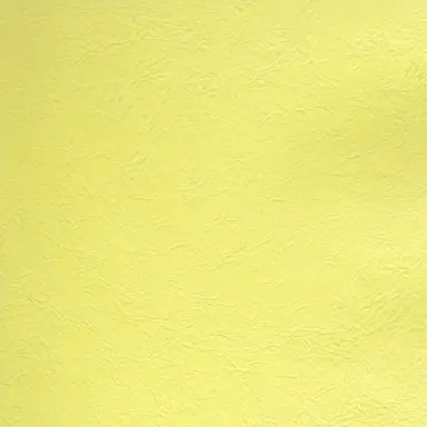 Profile image of 岩本照