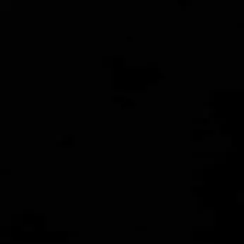 Profile image of 김선우