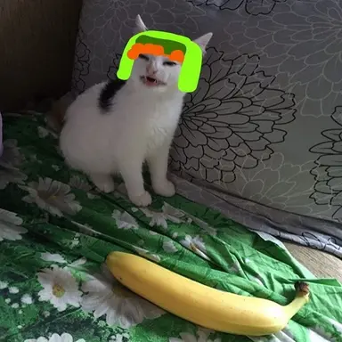 Profile image of カイル・ブロフロフスキー
