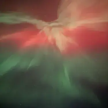 Profile image of TF141- Emetophobia