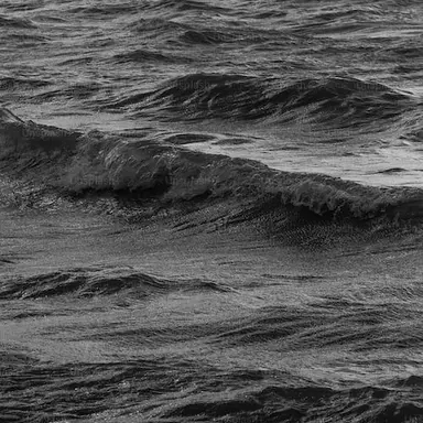 Profile image of 텔레미아