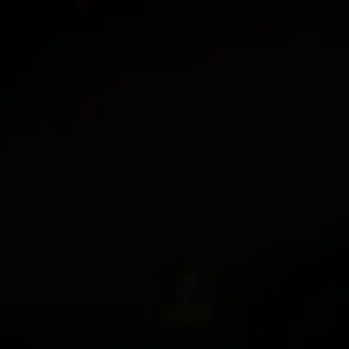 Profile image of 시현